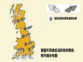 初中生物北京版八年级上册 生物的进化生物进化的原因部优课件