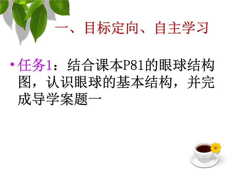 初中生物北京版七年级下册 感觉和感觉器官眼球的结构和视觉的形成部优课件04