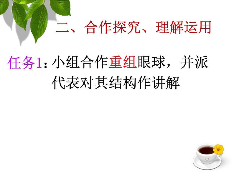 初中生物北京版七年级下册 感觉和感觉器官眼球的结构和视觉的形成部优课件06