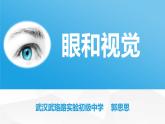 初中生物北京版七年级下册 感觉和感觉器官《眼和视觉》部优课件