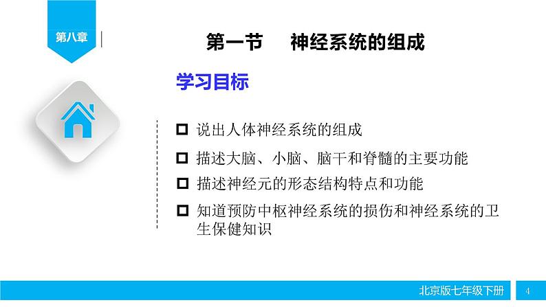 初中生物北京版七年级下册 神经系统的组成部优课件04