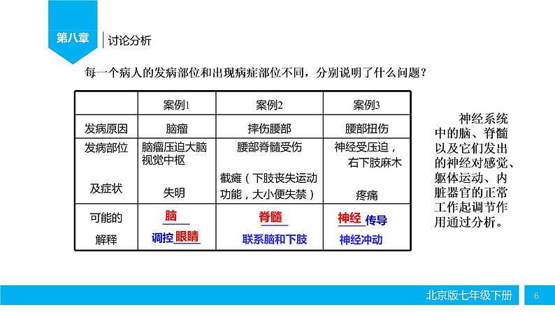 初中生物北京版七年级下册 神经系统的组成部优课件06