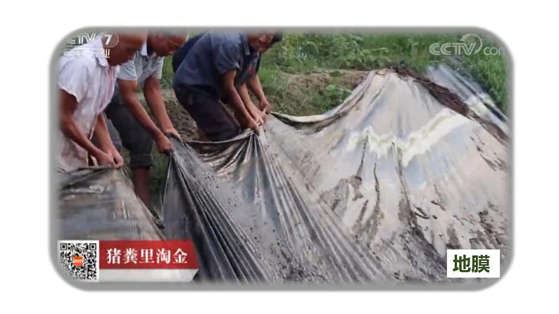 初中生物北京版八年级下册 生态系统复习课部优课件06