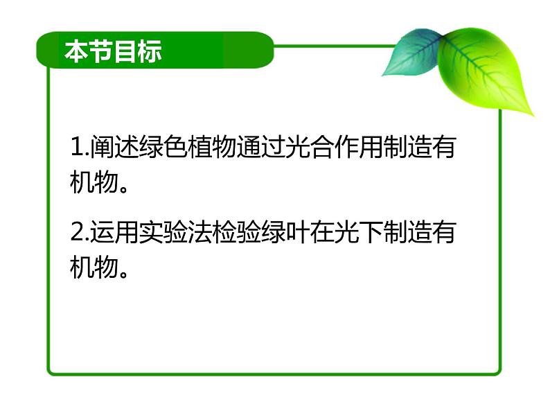 初中生物北京版七年级上册 绿色植物的光合作用绿叶在光下制造有机物部优课件03