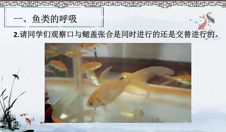 初中生物北京版七年级下册 其他生物的呼吸部优课件第7页