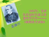 初中生物北京版八年级上册 生物的性状遗传部优课件