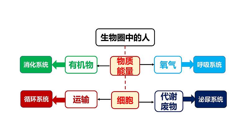 初中生物北京版八年级下册 健康的生活方式你的身体健康谁做主部优课件第4页