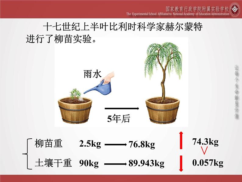 初中生物北京版七年级上册《绿色植物的光合作用》部优课件04