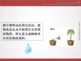 初中生物北京版七年级上册《绿色植物的光合作用》部优课件