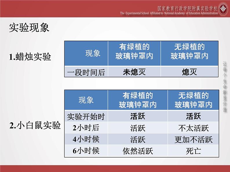 初中生物北京版七年级上册《绿色植物的光合作用》部优课件08