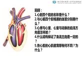 初中生物北京版七年级下册《血液循环》部优课件