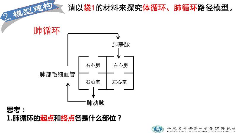 初中生物北京版七年级下册《血液循环》部优课件08