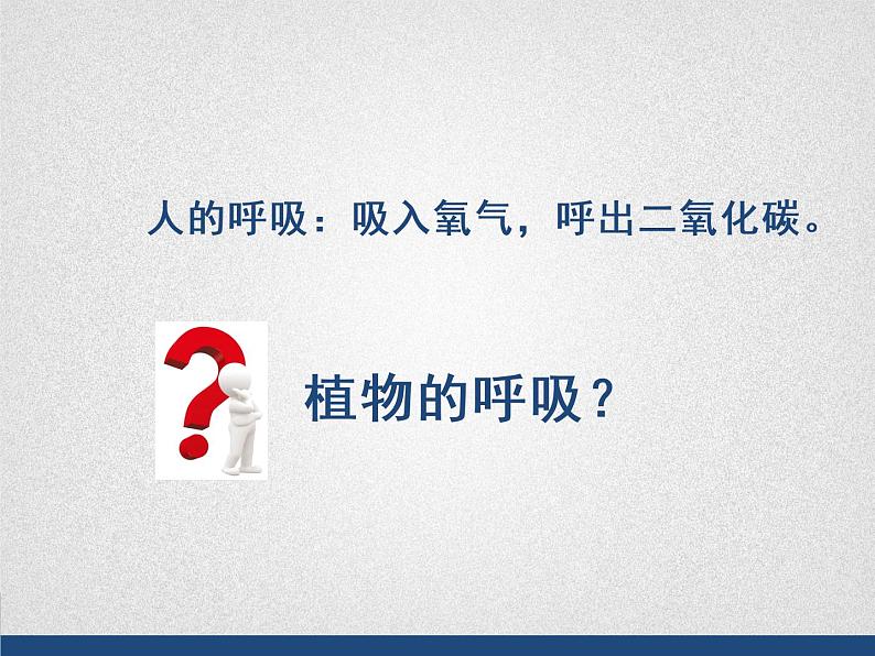 初中生物北京版七年级下册 绿色植物的呼吸部优课件第3页