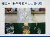初中生物北京版七年级下册 绿色植物的呼吸部优课件