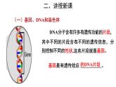 人教版生物八下7.2.2《 基因在亲子代间的传递》课件