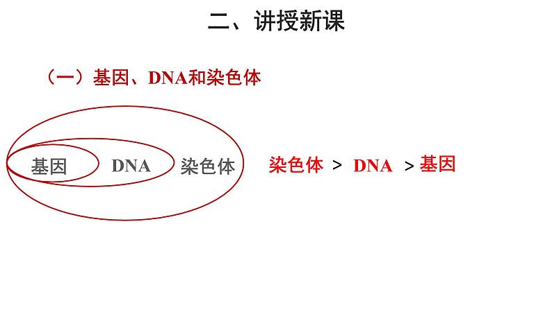 人教版生物八下7.2.2《 基因在亲子代间的传递》课件06