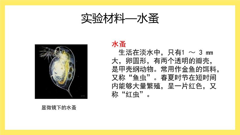 初中生物北师大版七年级下册 健康及其条件拒绝酗酒，健康生活部优课件第6页