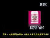 初中生物北师大版七年级下册 食物的消化和营养物质的吸收 (1)部优课件