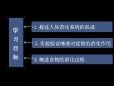 初中生物北师大版七年级下册 食物的消化和营养物质的吸收 (1)部优课件