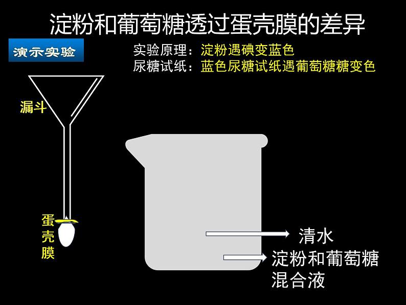 初中生物北师大版七年级下册 食物的消化和营养物质的吸收 (1)部优课件05