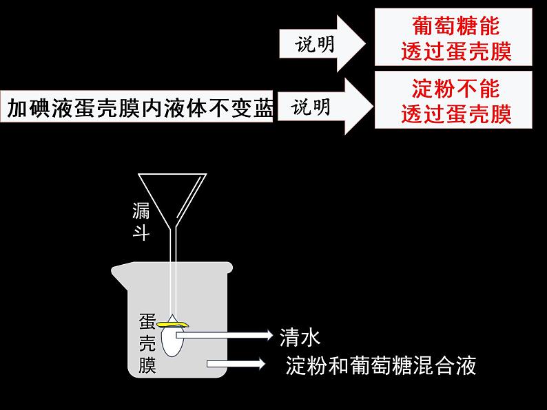 初中生物北师大版七年级下册 食物的消化和营养物质的吸收 (1)部优课件06