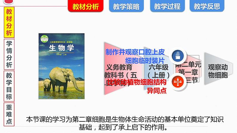 初中生物鲁科版六年级上册观察动物细胞 说课部优课件第3页