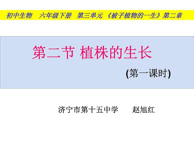 初中生物鲁科版六年级下册 植株的生长部优课件04