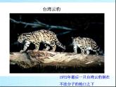 初中生物冀少儿版八年级下册 保护生物多样性部优课件