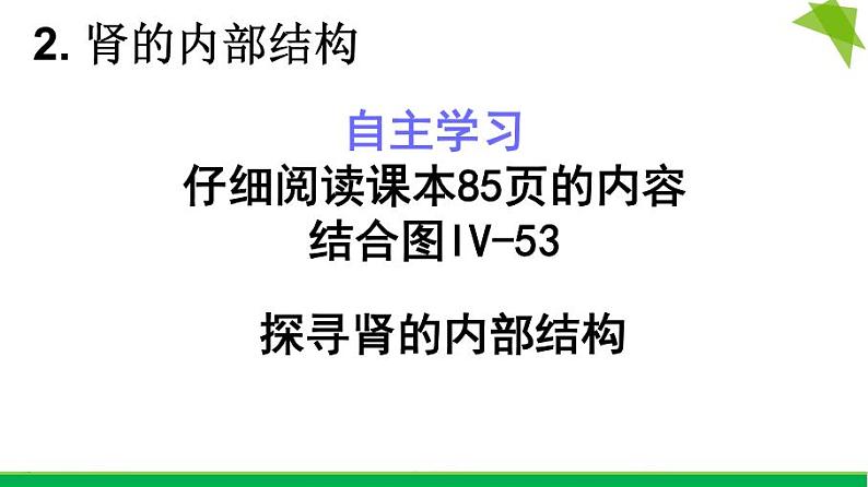 初中生物鲁科版七年级上册 尿的形成和排出部优课件05