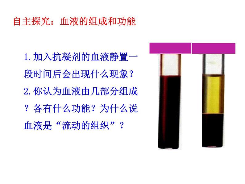 初中生物济南版七年级下册 物质运输的载体部优课件03