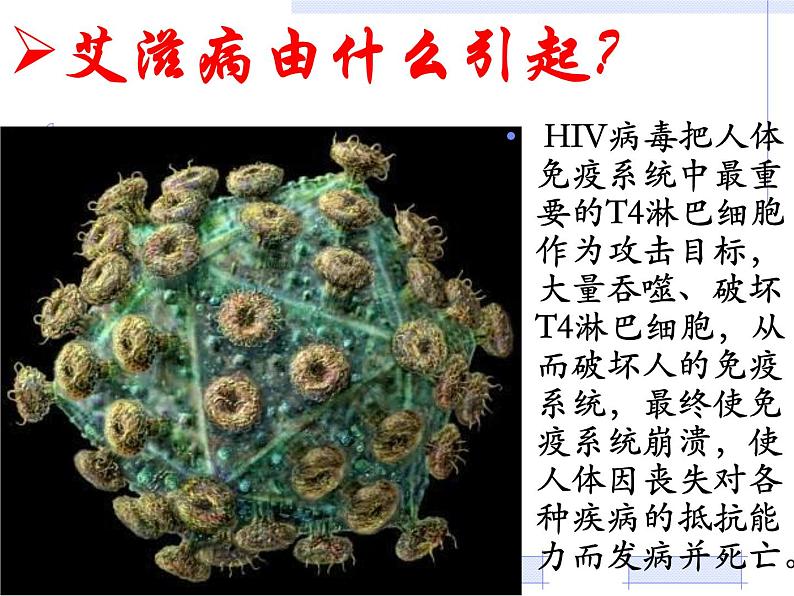 初中生物冀少儿版七年级下册艾滋病的发生与流行——明辨危险 远离艾滋部优课件05