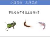 初中生物沪教版八年级下册节肢动物部优课件