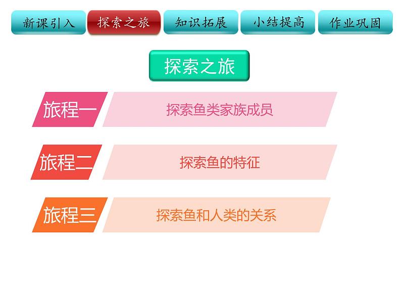 初中生物济南版七年级上册鱼类部优课件第5页