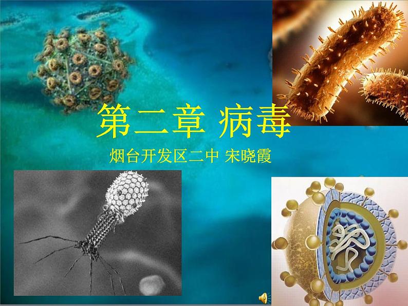 初中生物鲁科版七年级下册第二章 病毒部优课件01