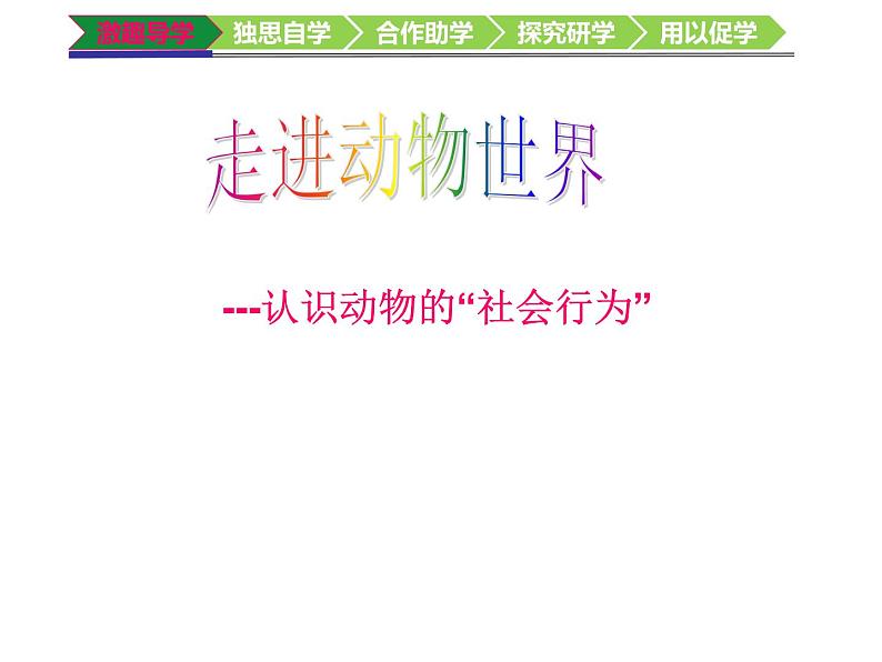 初中生物鲁科版八年级上册 社会行为部优课件05