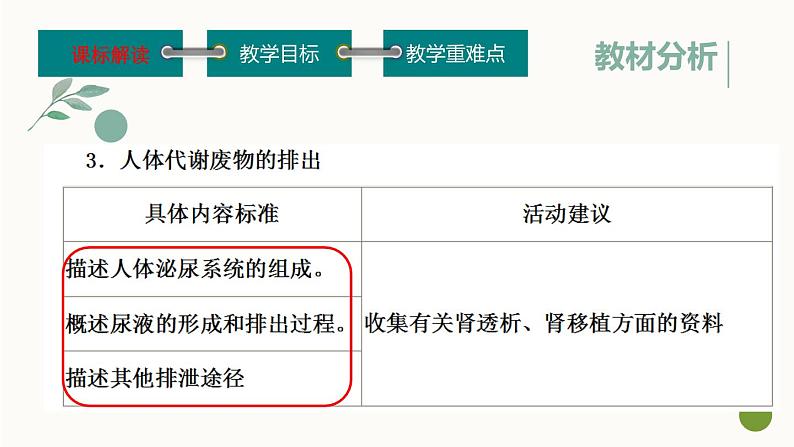 初中生物鲁科版七年级上册 尿的形成和排出 说课部优课件05