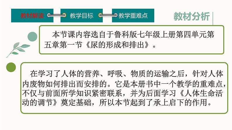 初中生物鲁科版七年级上册 尿的形成和排出 说课部优课件06