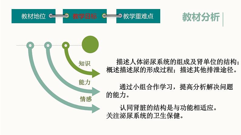 初中生物鲁科版七年级上册 尿的形成和排出 说课部优课件07