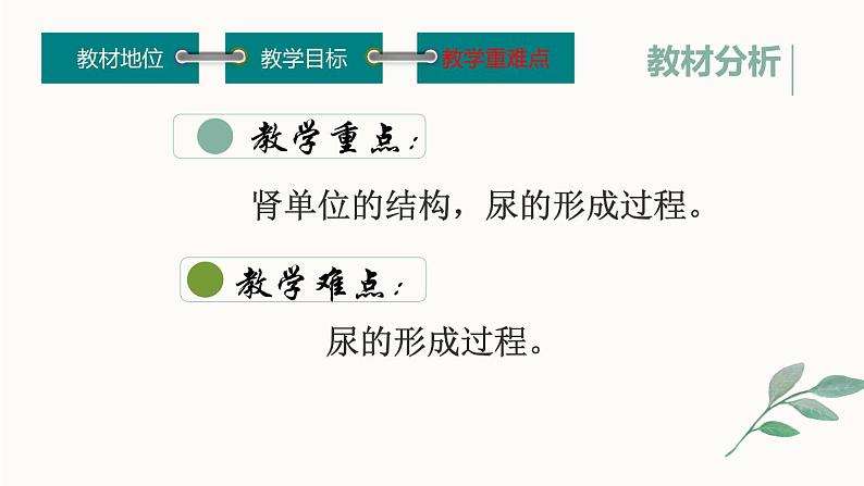 初中生物鲁科版七年级上册 尿的形成和排出 说课部优课件08