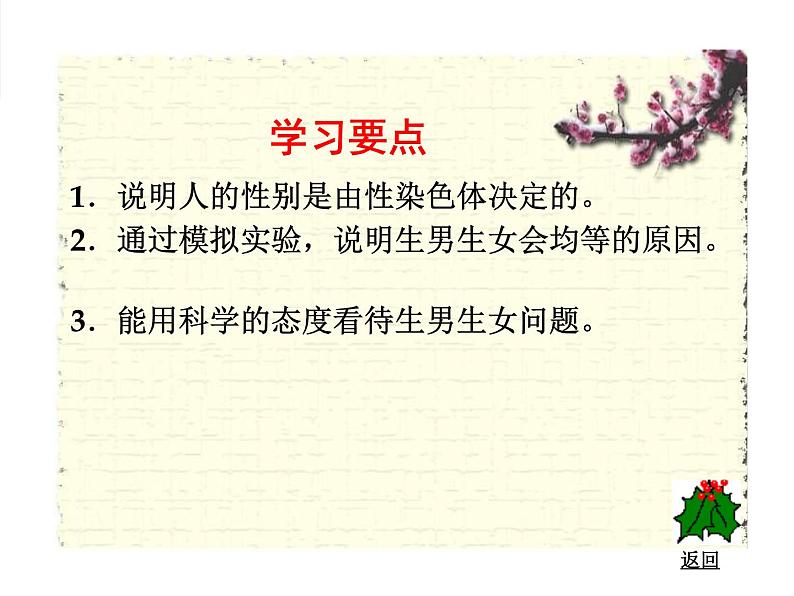 初中生物鲁科版八年级下册 人的性别遗传部优课件第4页