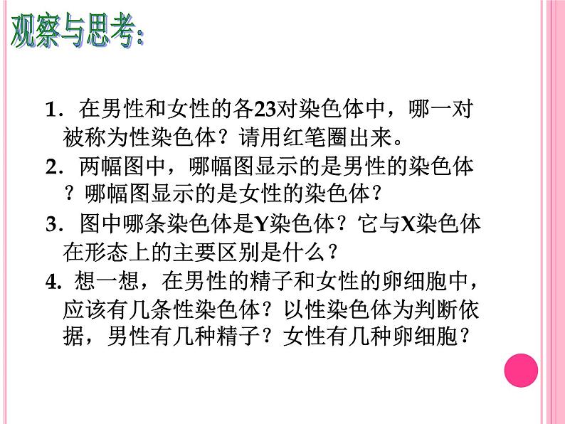 初中生物鲁科版八年级下册 人的性别遗传部优课件第7页