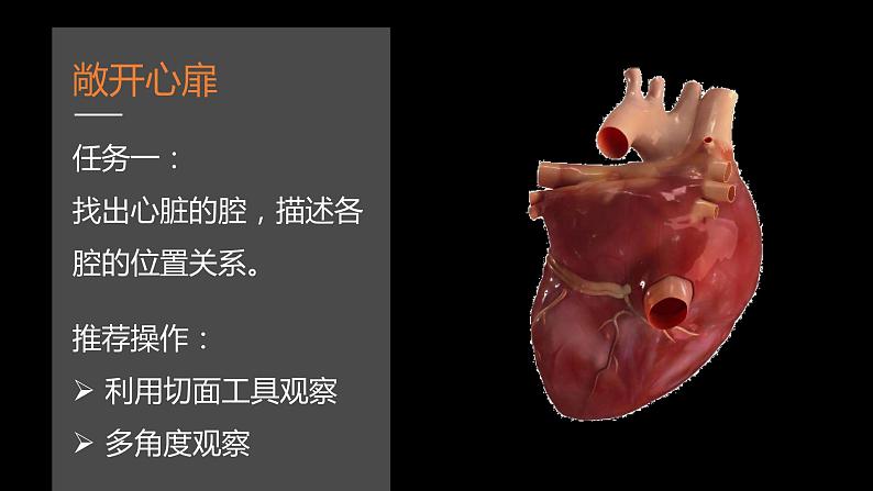 初中生物苏科版八年级上册 人体内物质的运输——心脏部优课件03