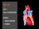 初中生物苏科版八年级上册 人体内物质的运输——心脏部优课件