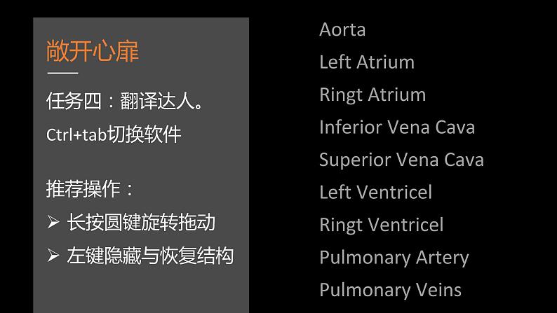 初中生物苏科版八年级上册 人体内物质的运输——心脏部优课件06