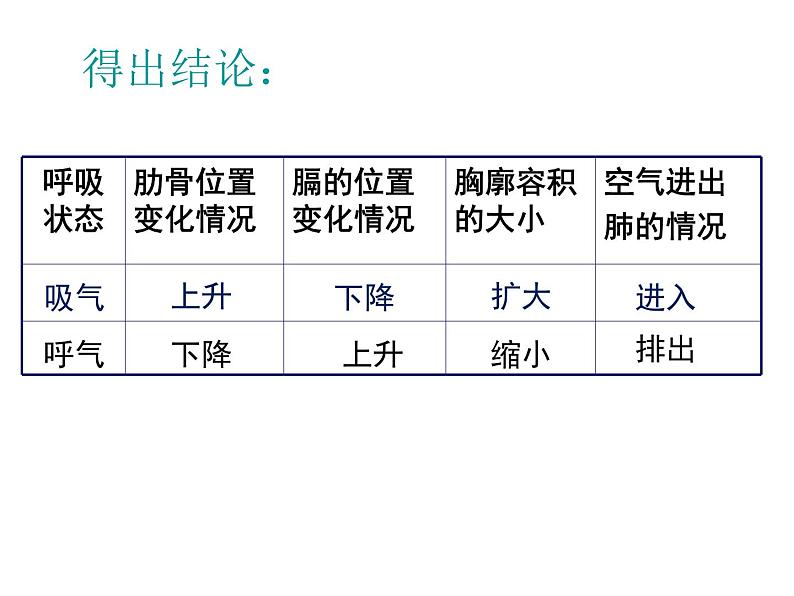 初中生物苏科版七年级上册 人体的呼吸部优课件第8页