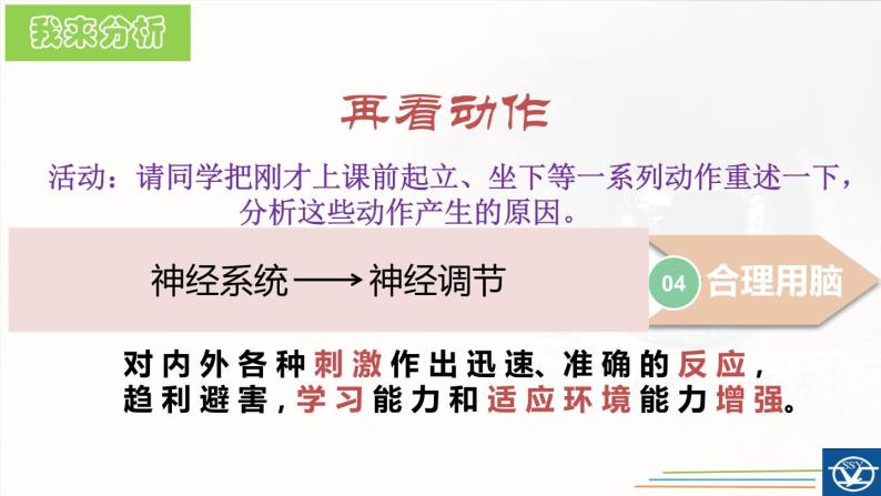 初中生物苏科版八年级上册 人体对信息的感知视觉部优课件02