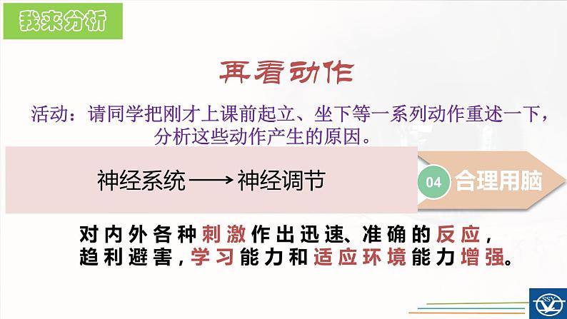 初中生物苏科版八年级上册 人体对信息的感知视觉部优课件02