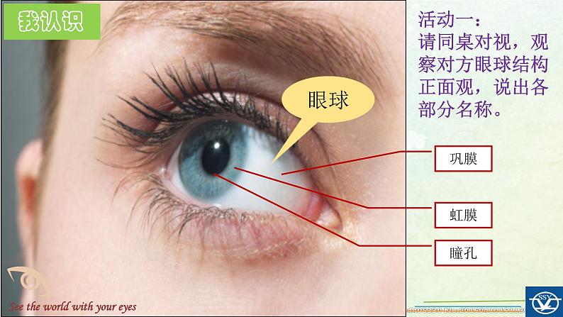 初中生物苏科版八年级上册 人体对信息的感知视觉部优课件07