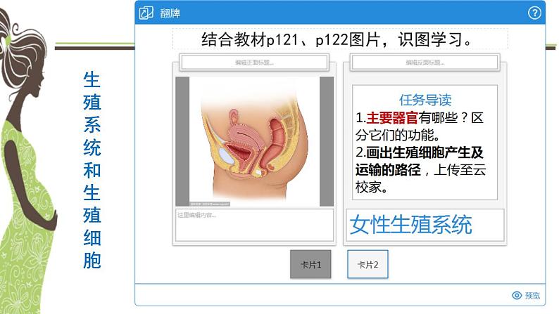 初中生物苏科版八年级上册 人的生殖部优课件04