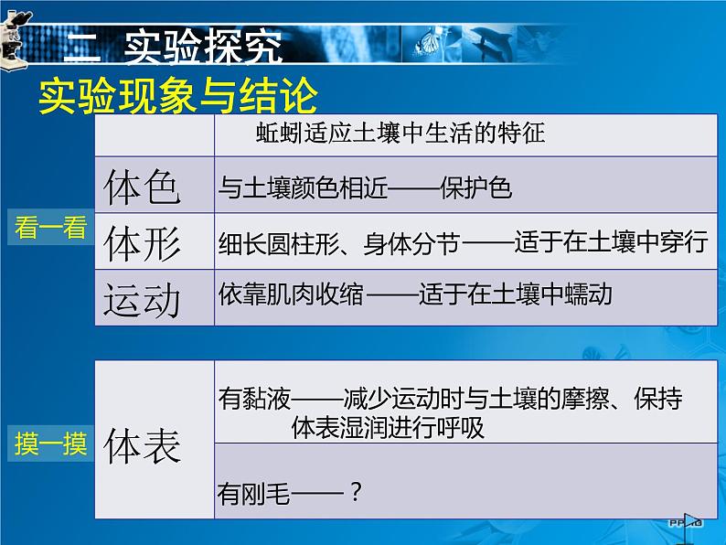 初中生物苏科版七年级下册 土壤里的小动物探究蚯蚓适应土壤中生活的特征部优课件07